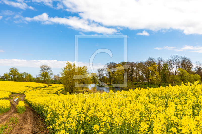 freely selectable image excerpt for your image on Window Foil