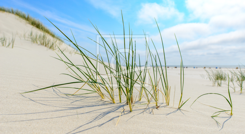 freely selectable image excerpt for your image on Window Foil