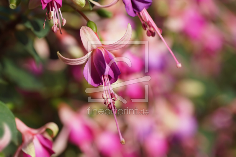 freely selectable image excerpt for your image on Window Foil