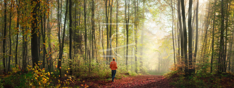 freely selectable image excerpt for your image on Window Foil