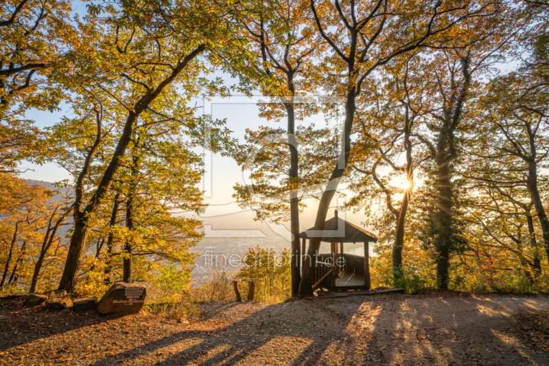 freely selectable image excerpt for your image on Window Foil