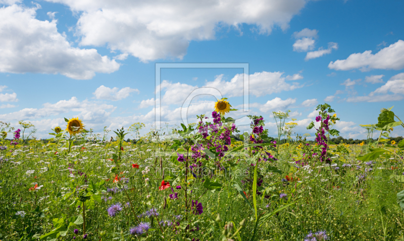 freely selectable image excerpt for your image on Window Foil