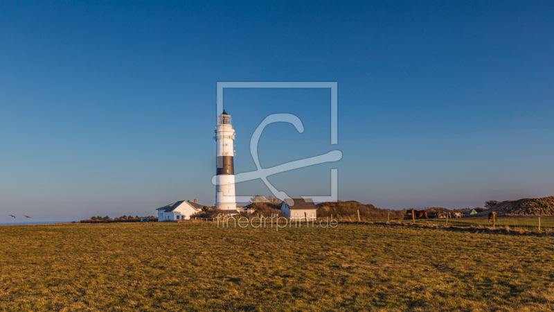 freely selectable image excerpt for your image on Window Foil